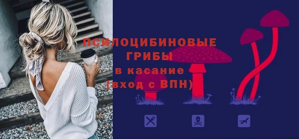 ГАЛЛЮЦИНОГЕННЫЕ ГРИБЫ Приозерск