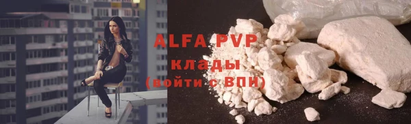 крисы Алзамай