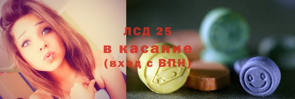 крисы Алзамай