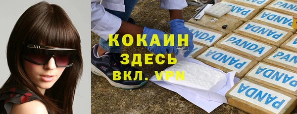 крисы Алзамай