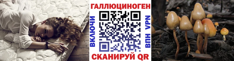 Галлюциногенные грибы прущие грибы  Кимры 